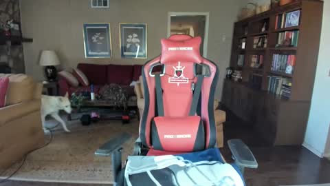 machinecumkelly69 online show from 02/25/25, 05:58