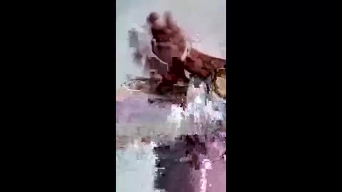 Snapshot of maciasbraulio846 chatting on 02/07/26, 06:50 maciasbraulio846 online show from 02/07/26, 06:50