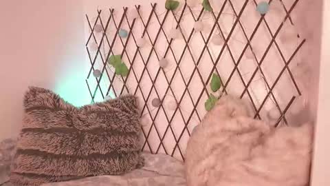 Noah Askew online show from 11/28/25, 07:27