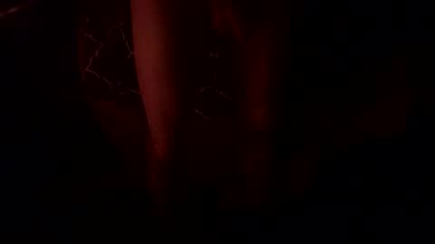 Snapshot of macsammacfuck833109 chatting on 10/31/25, 10:49 slyshyguy69 online show from 10/31/25, 10:49