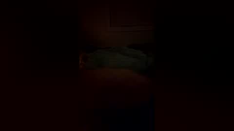 Snapshot of macsammacfuck833109 chatting on 12/21/25, 09:16 slyshyguy69 online show from 12/21/25, 09:16