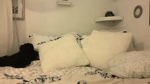 Snapshot of madie_ray chatting on 02/21/25, 05:46 Madie Ray online show from 02/21/25, 05:46