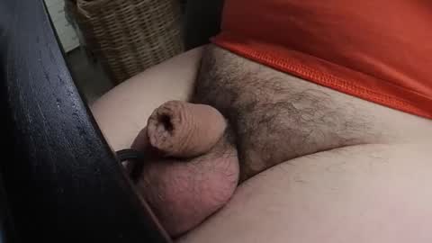 Snapshot of madwolf003 chatting on 01/21/25, 01:43 HOTnHORNY online show from 01/21/25, 01:43