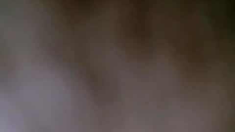 maestronex online show from 12/25/24, 04:22