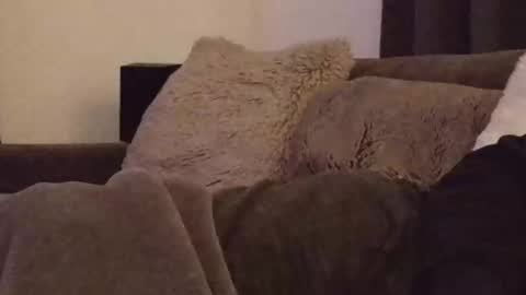 Snapshot of magic_passionitaliano chatting on 03/03/26, 06:36 magic_passionitaliano online show from 03/03/26, 06:36