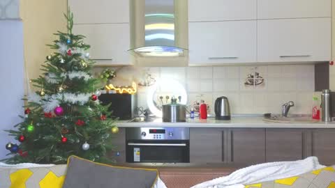 Snapshot of magical_mermaids chatting on 12/24/24, 04:19 Alice online show from 12/24/24, 04:19