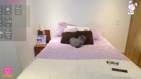    t  online show from 11/11/25, 02:33