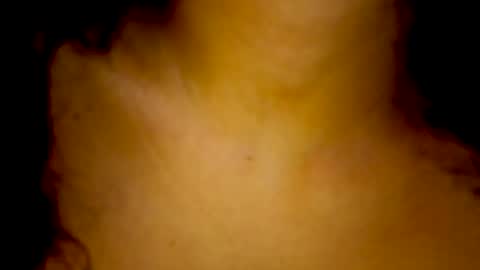   Lauu online show from 11/15/25, 09:21