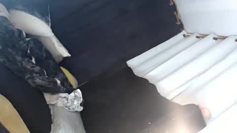 Snapshot of majestic_princesslei chatting on 01/12/25, 07:11 Lei online show from 01/12/25, 07:11