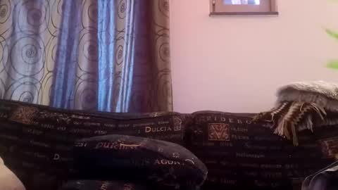 Snapshot of majorxoxo chatting on 11/26/25, 07:31 majorxoxo online show from 11/26/25, 07:31