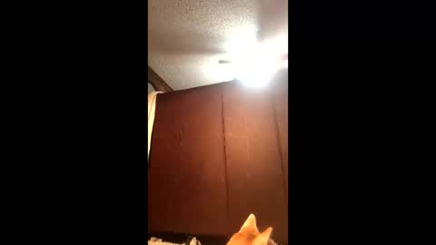 KarizmaticKitten online show from 02/21/26, 12:11