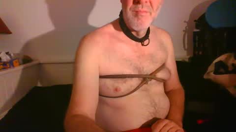 Snapshot of malebdsmslut chatting on 02/16/25, 08:21 CommandbondageNipples bondage kink submissive lovense slave wgear. modequiethvyBondage If Password goldfish online show from 02/16/25, 08:21
