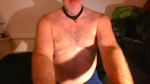 Snapshot of malebdsmslut chatting on 09/09/25, 07:08 CommandbondageNipples bondage kink submissive lovense slave wgear. modequiethvyBondage If Password goldfish online show from 09/09/25, 07:08