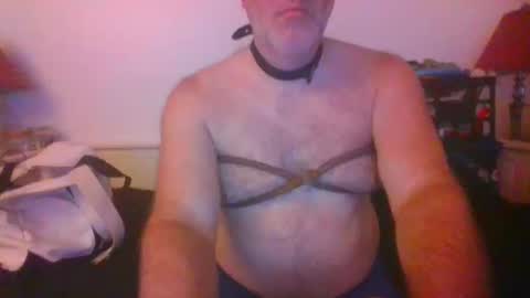 Snapshot of malebdsmslut chatting on 10/14/25, 07:31 CommandbondageNipples bondage kink submissive lovense slave wgear. modequiethvyBondage If Password goldfish online show from 10/14/25, 07:31
