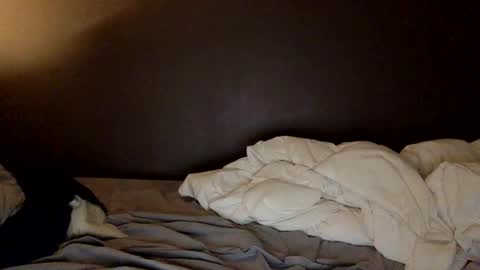 malefrench1 online show from 03/25/26, 04:18