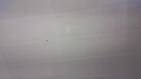 malen_fitnessmilf online show from 03/22/26, 11:02