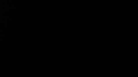 Alice Asylum online show from 11/17/25, 11:32