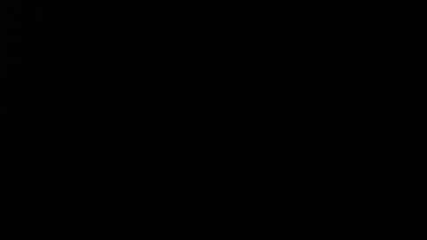 Alice Asylum online show from 11/20/25, 04:01