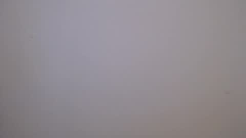 maluma4you online show from 04/06/26, 01:14