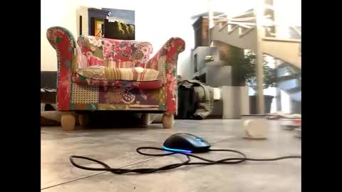 man38110 online show from 03/09/25, 08:40