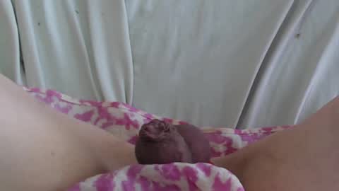 Snapshot of manclitpatsy chatting on 02/22/25, 05:35 .. .. online show from 02/22/25, 05:35