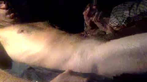 Snapshot of mandalay3 chatting on 12/16/25, 05:12 mandalay3 online show from 12/16/25, 05:12