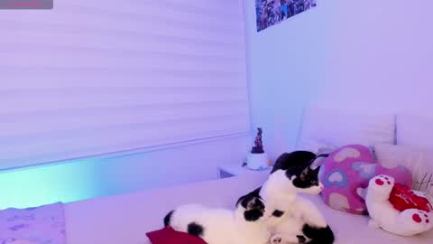   online show from 02/02/26, 10:08