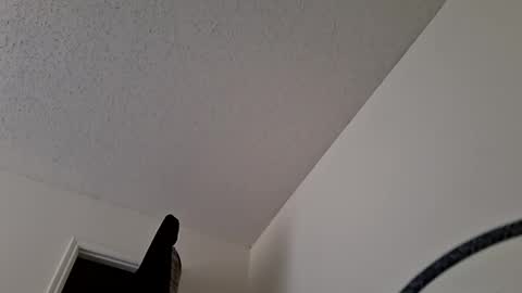 Jan and Man online show from 03/31/26, 09:04