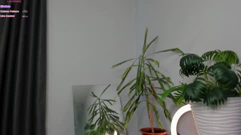 Manita online show from 05/08/26, 09:25