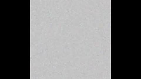 mantismillie online show from 10/12/25, 01:43