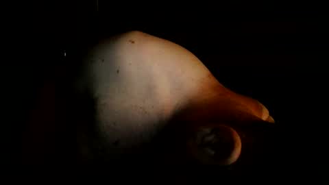 guywittitsndick online show from 08/02/26, 08:35
