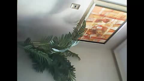 Snapshot of manu_481 chatting on 03/07/25, 06:54 manu_481 online show from 03/07/25, 06:54