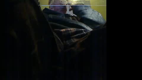 Snapshot of manufocus chatting on 01/09/26, 10:33 Manu online show from 01/09/26, 10:33