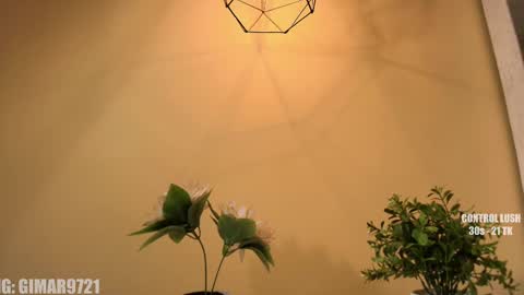 Marcela online show from 09/11/25, 12:00