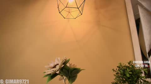 Marcela online show from 09/23/25, 11:41