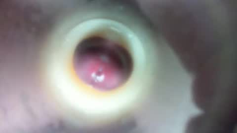 Marc online show from 02/23/26, 01:58