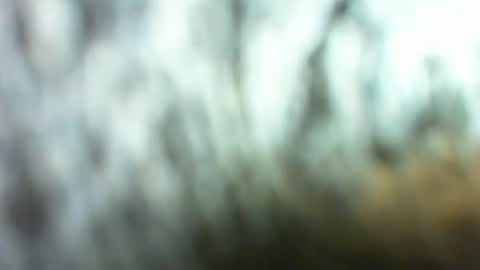 Marc online show from 03/26/26, 02:28