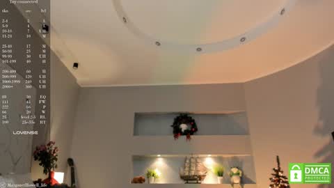 Snapshot of margarethowell chatting on 12/17/24, 11:28 Margaret online show from 12/17/24, 11:28