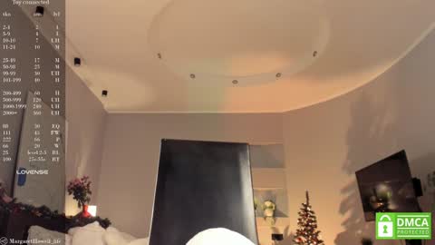 Snapshot of margarethowell chatting on 12/24/24, 12:55 Margaret online show from 12/24/24, 12:55