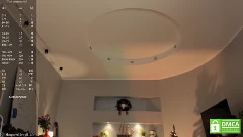 Snapshot of margarethowell chatting on 12/25/24, 10:28 Margaret online show from 12/25/24, 10:28