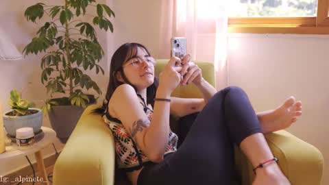 Alfonsina online show from 01/17/26, 03:17