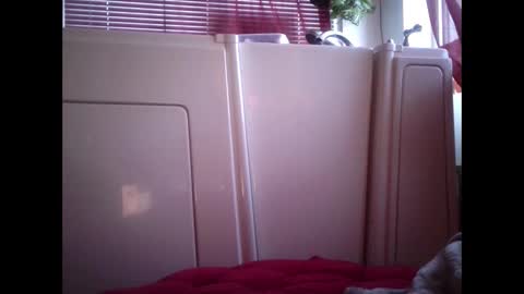 Snapshot of mariahjsav95 chatting on 02/12/25, 02:54 MariahJade95 online show from 02/12/25, 02:54