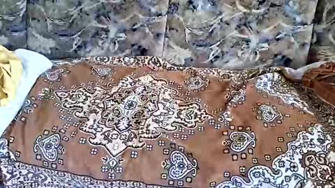 Snapshot of marian20242025 chatting on 11/01/25, 07:10 marian20242025 online show from 11/01/25, 07:10