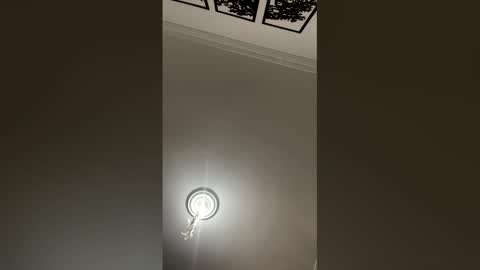 Mar y online show from 02/25/26, 02:27