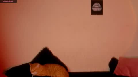 Snapshot of marianawlls chatting on 02/22/25, 01:00 mariana williams online show from 02/22/25, 01:00
