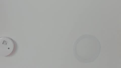 Maria Pettit online show from 02/18/26, 11:17