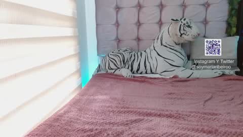 mariaribeiro online show from 01/07/26, 07:49