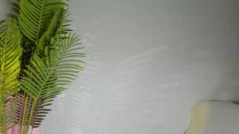 Masha online show from 11/08/25, 07:45