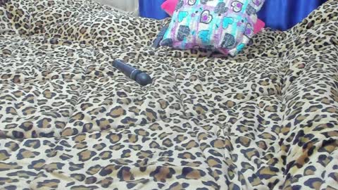 Snapshot of marie_marie03 chatting on 01/23/25, 01:56 Marie online show from 01/23/25, 01:56