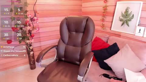 Snapshot of marien_thomson_ chatting on 02/22/25, 04:07 Marien online show from 02/22/25, 04:07